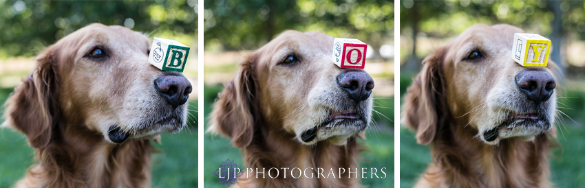 01-orange-county-maternity-photographer