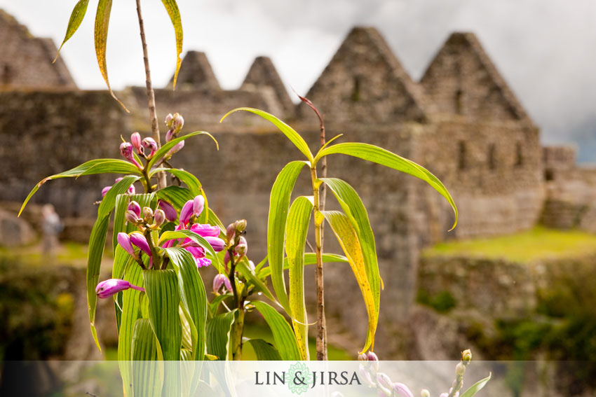 machu-picchu-photography