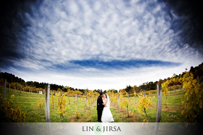 6-Sarahs-Vineyard-cuyahoga-Falls-wedding-photography 6 Sarahs Vineyard cuyahoga Falls wedding photography