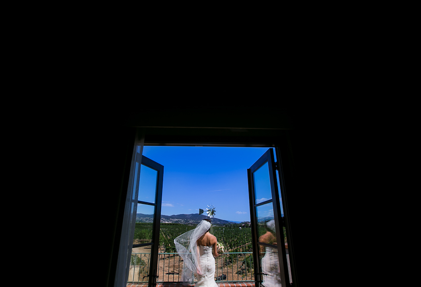 ponte-winery-wedding-photographer