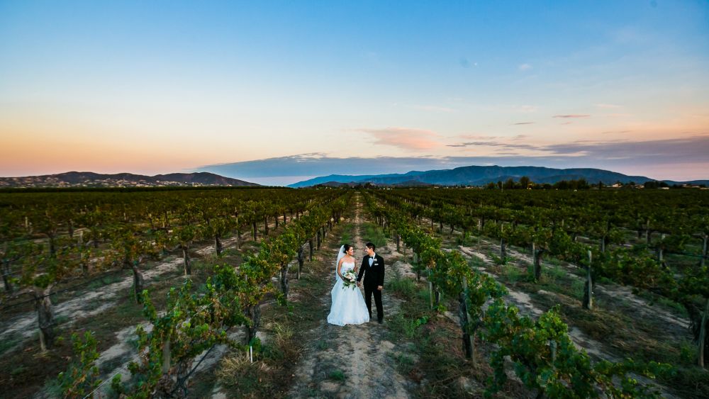 0585 JD Ponte Winery Temecula Wedding Photography 2