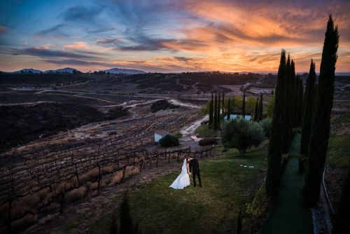 Falkner Winery Temecula Valley Wedding Photography