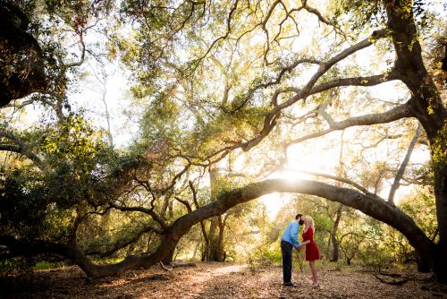 Thomas Riley Wilderness Park Orange County Engagement Photography