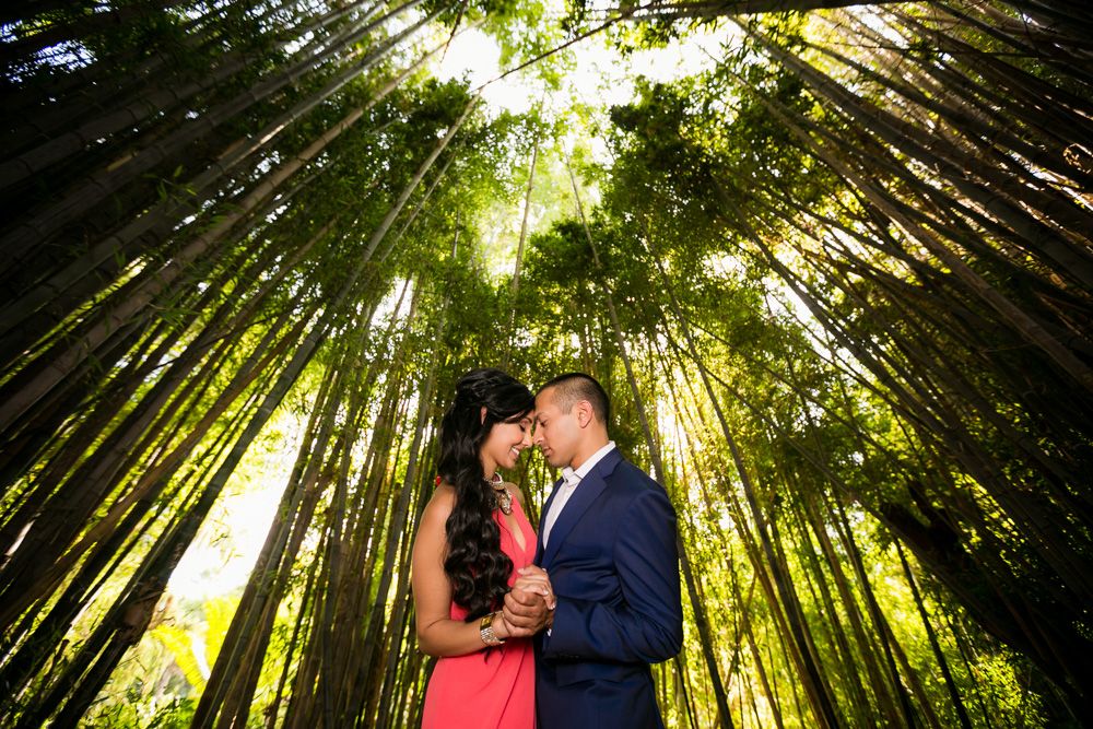 0054 SN Los Angeles Arboretum Engagment Photography