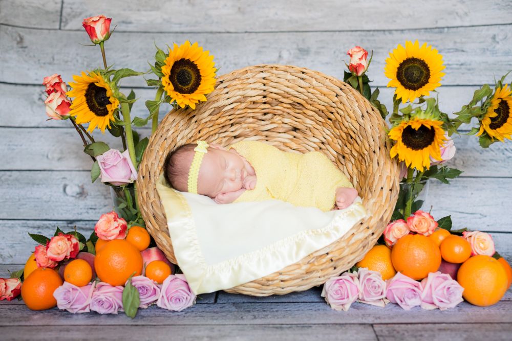 0003 HX Orange County Newborn Photography 1