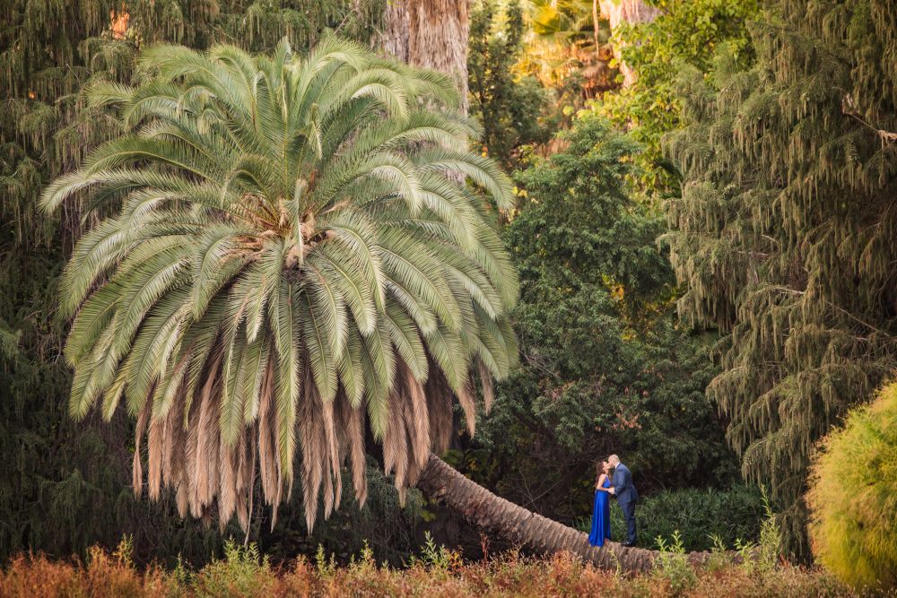 0130 JP LA Arboretum Los Angeles Engagement Photography