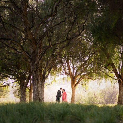 0 quail hill orange county indian engagement photography