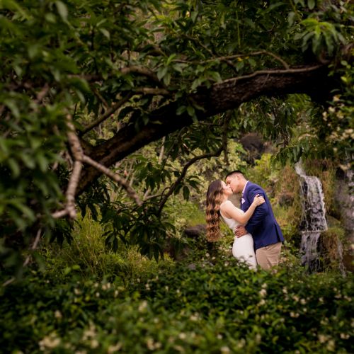 00 los angeles arboretum engagement photography