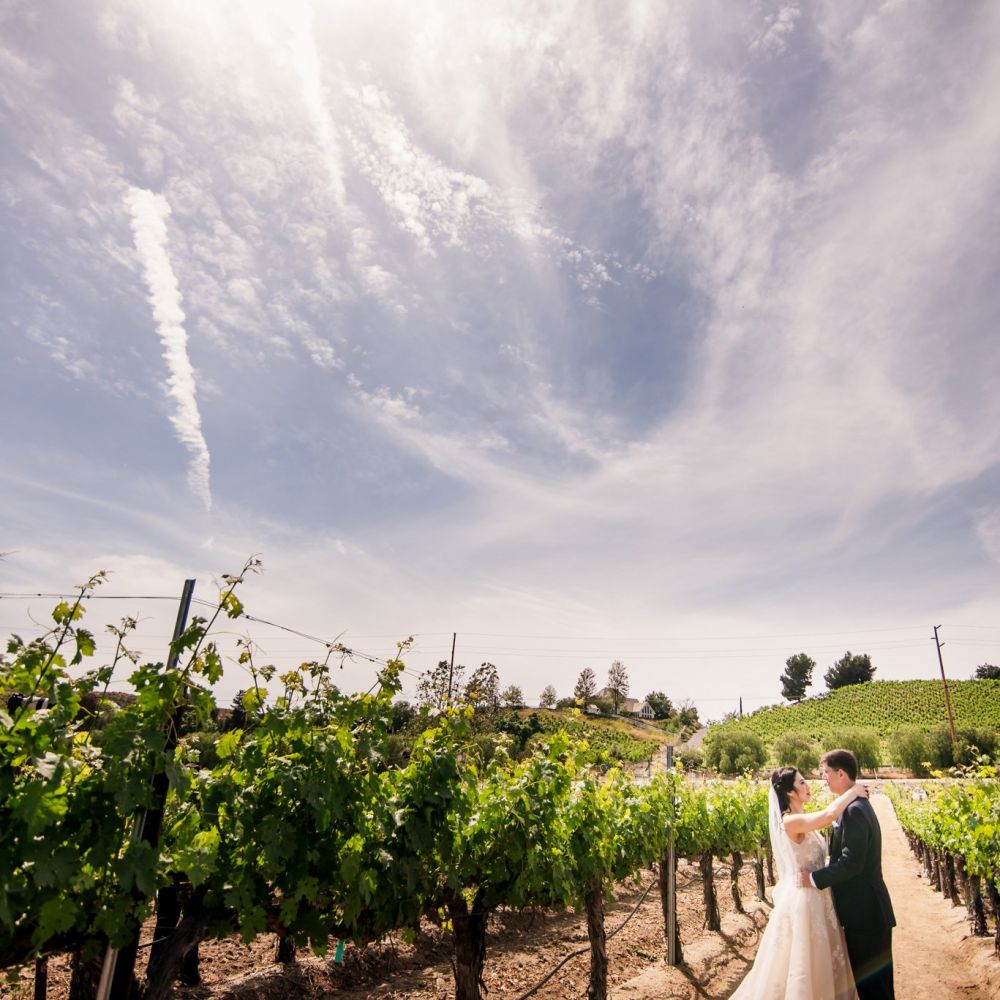 00 Leoness Cellars Temecula Wedding Photography