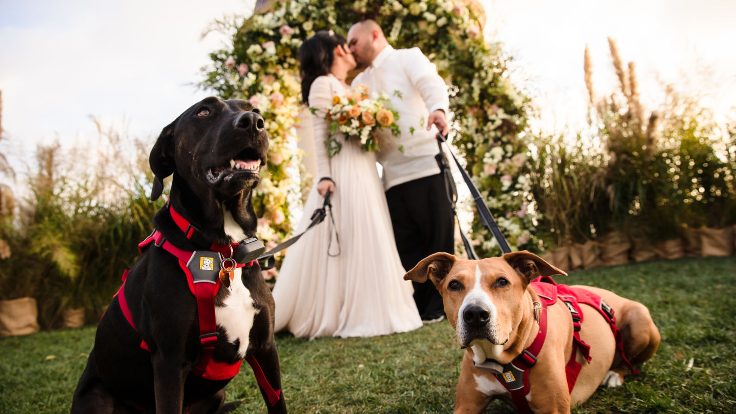 pelican hill wedding