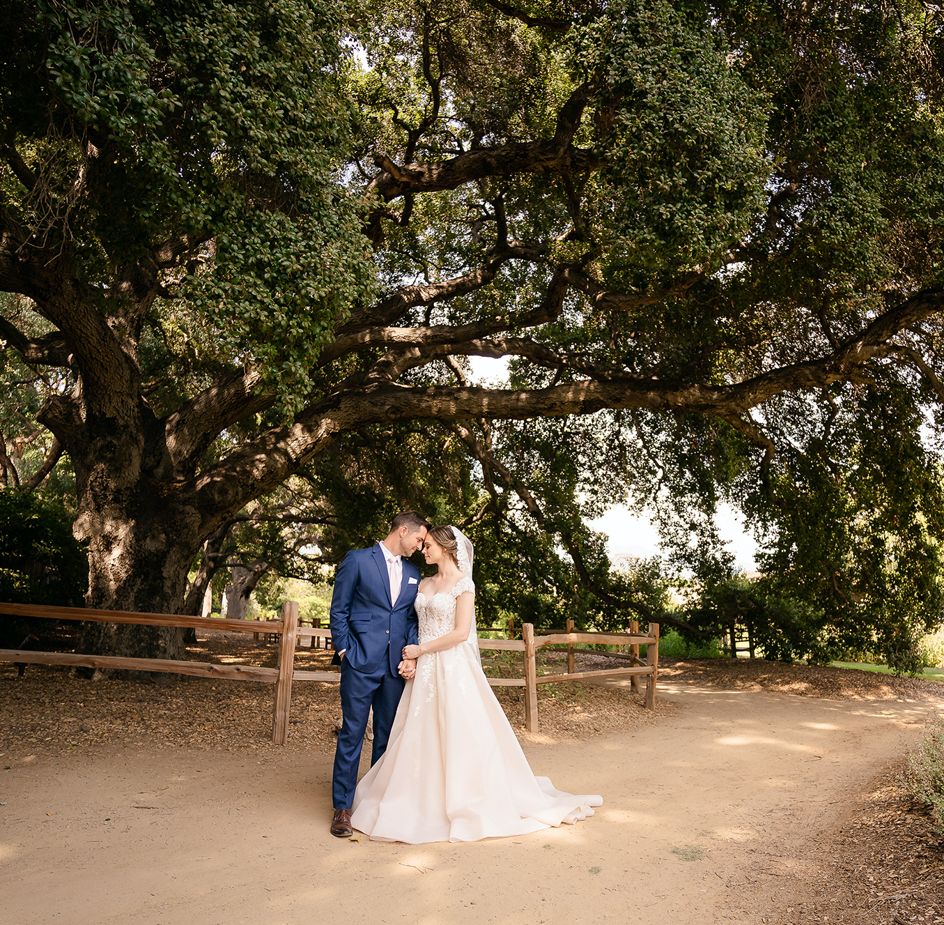 Descano Gardens Cinema Wedding Highlight