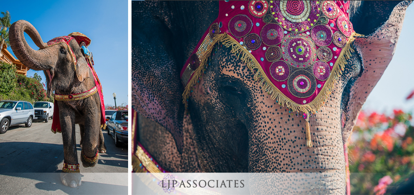 -hindu-wedding-orange-county-photographer