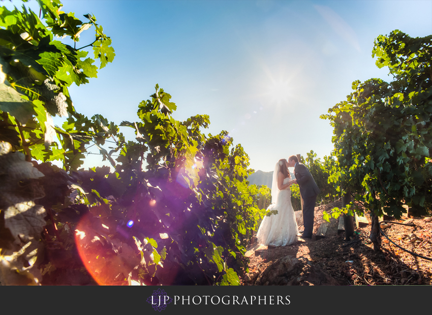 17-private-vineyard-estate-malibu-wedding-photographer-couple-portrait