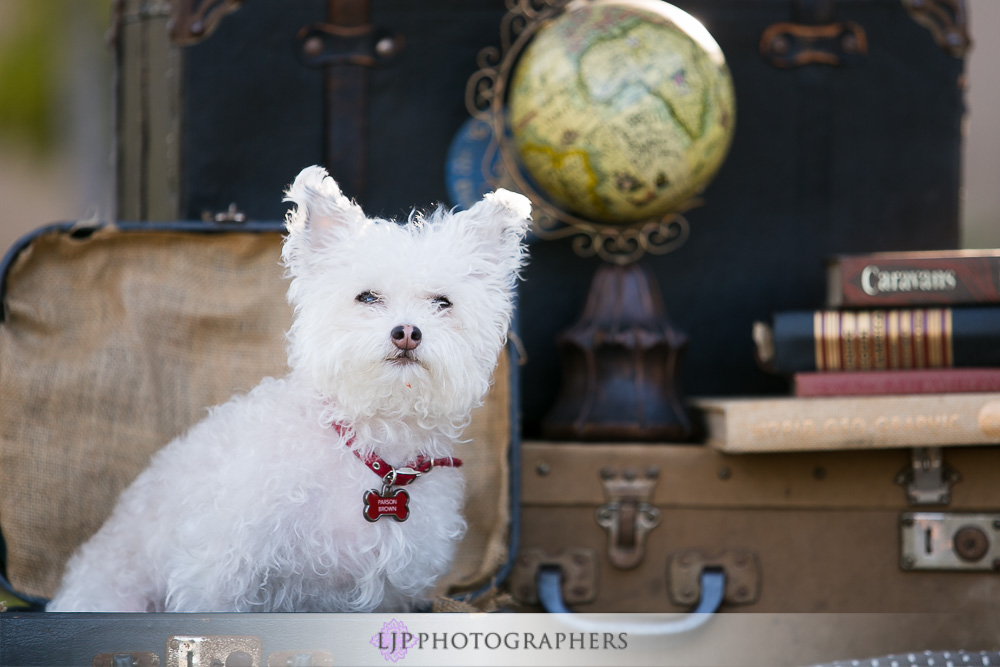 06-beautiful-balboa-park-engagement-photogrpaher