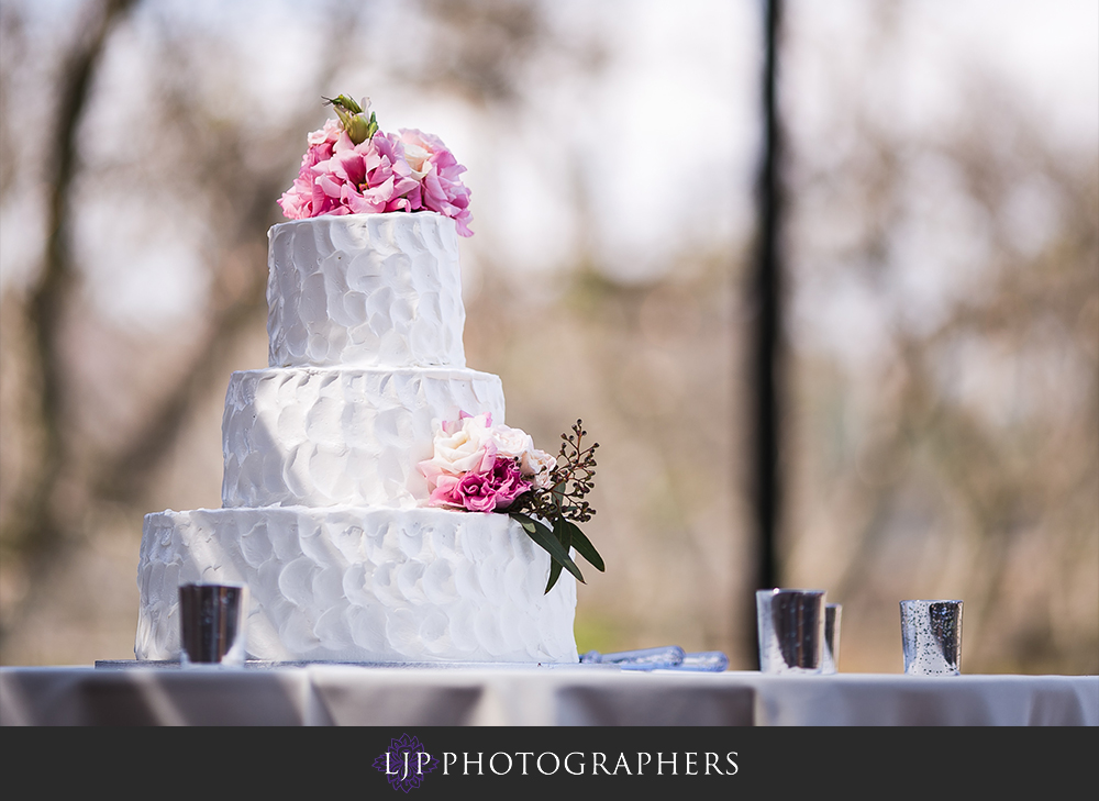 28-the-walnut-grove-wedding-photographer-wedding-reception-photos