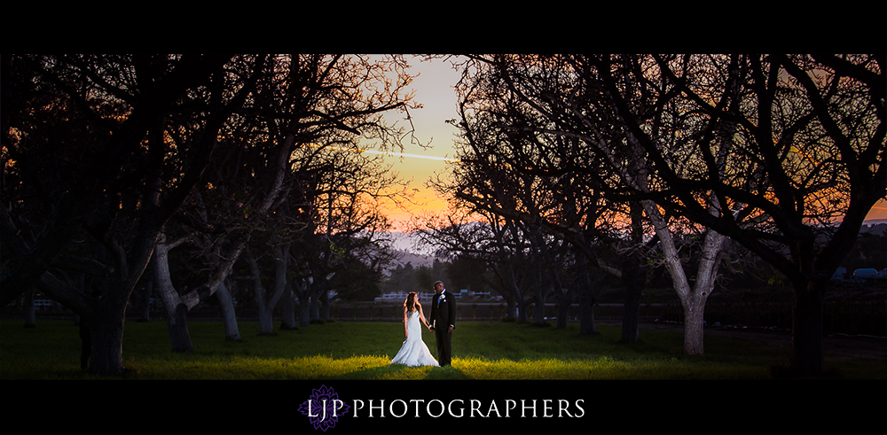 36-the-walnut-grove-wedding-photographer-wedding-reception-photos