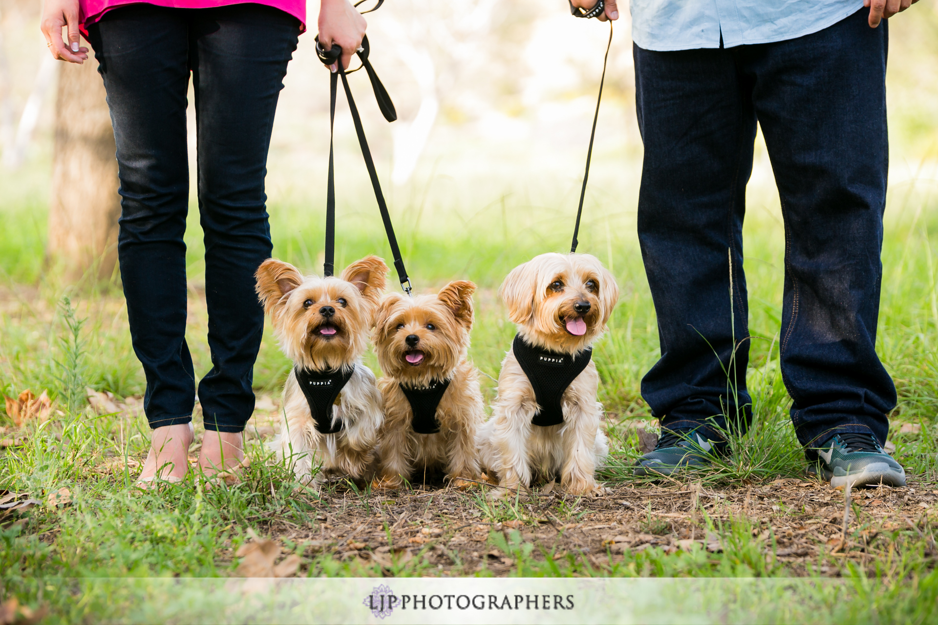 06-balboa-island-newport-beach-engagement-photographer