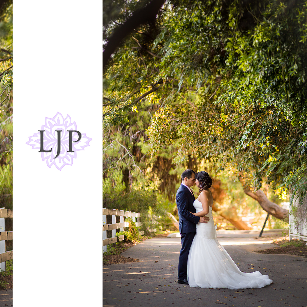 28-green-gables-wedding-estate-wedding-photographer