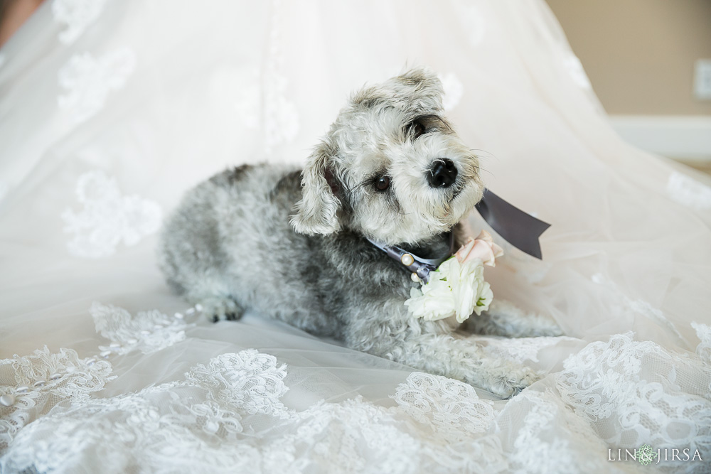 08-surf-and-sand-laguna-beach-wedding-photographer