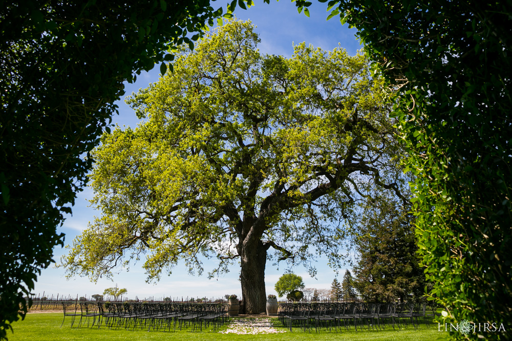 16_MJ_Oak_Farm_Vineyard_Lodi_Wedding_Photography