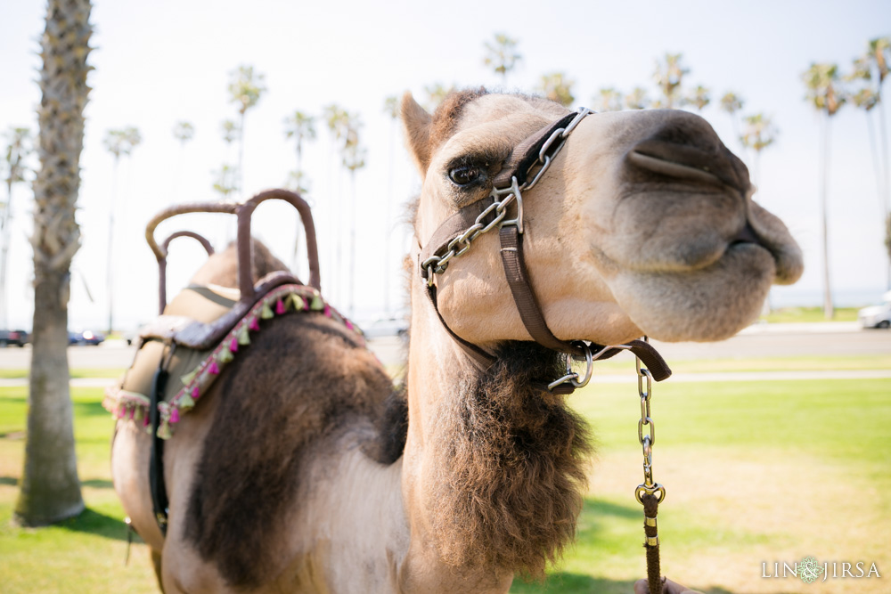 19-Fess-Parker-Doubletree-Santa-Barbara-Wedding-Photography