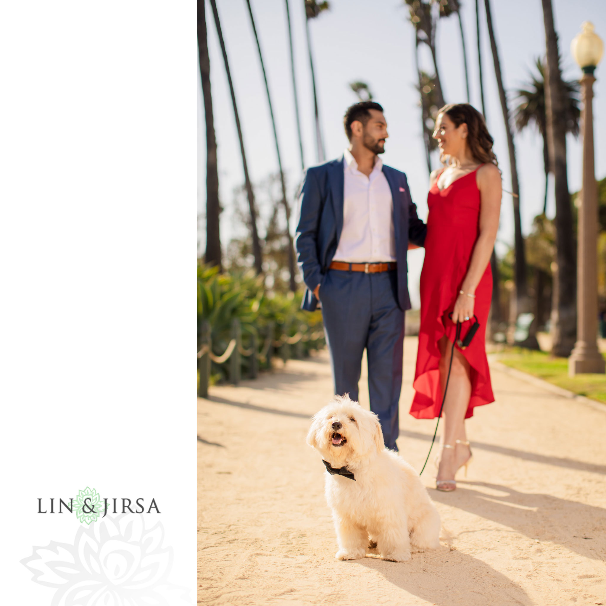 02 palisades park santa monica puppy engagement photography