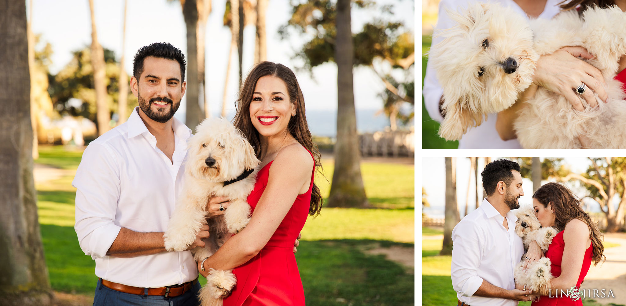 zmsantos palisades park santa monica dog engagement photography