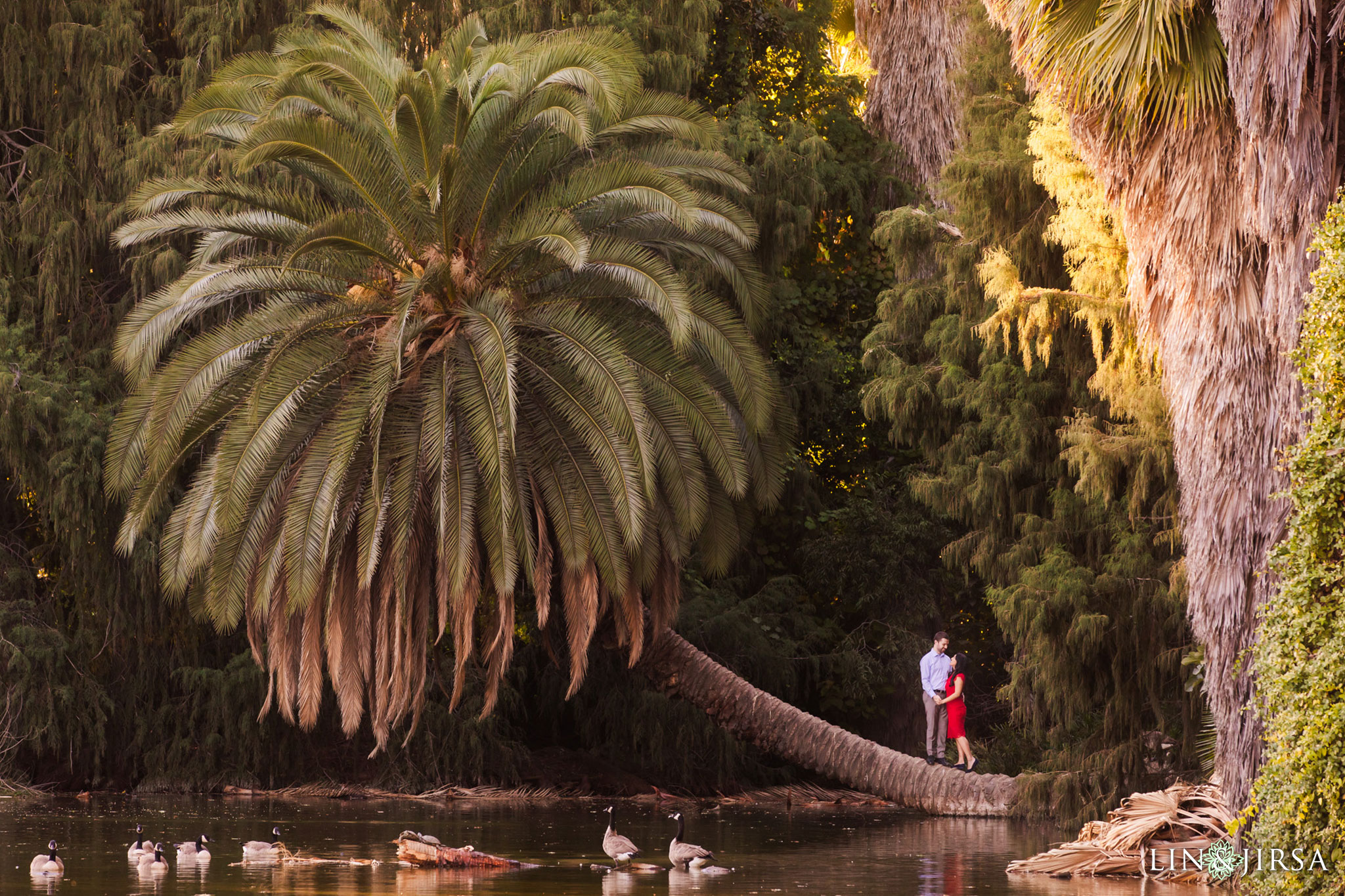 06 los angeles arboretum engagement photography