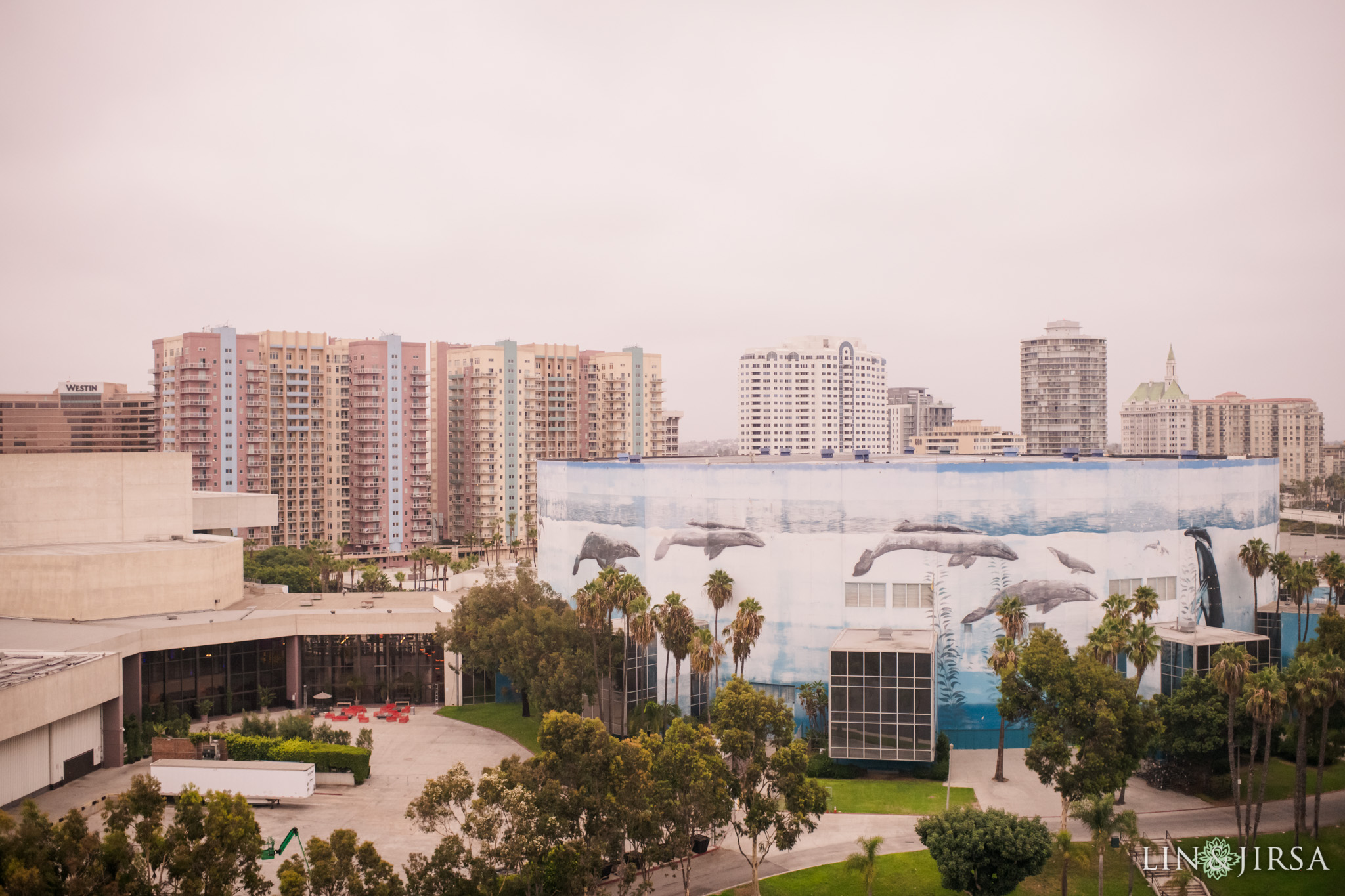 znc Hyatt Long Beach Indian Wedding Photography