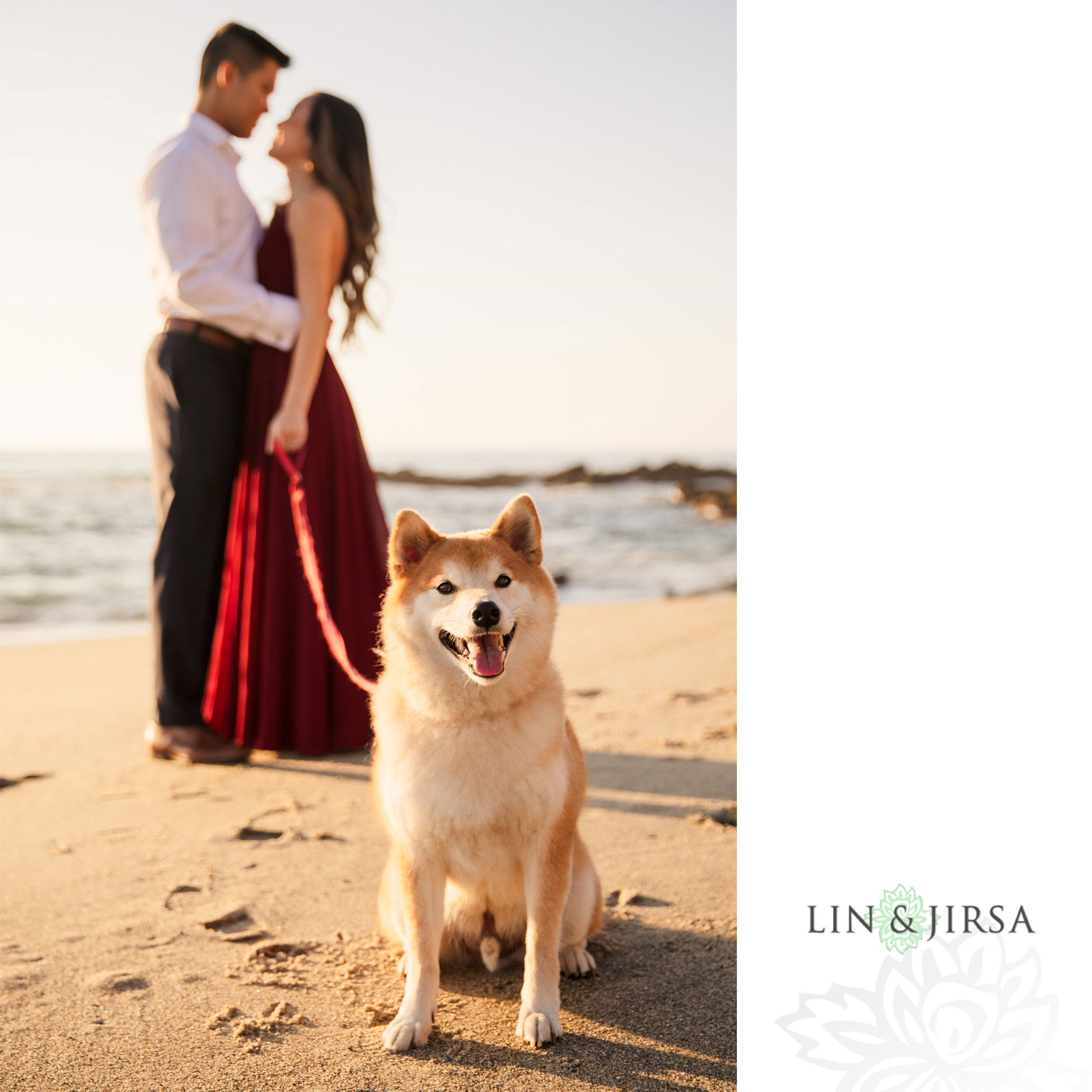 11 pet dog victoria beach engagement photography