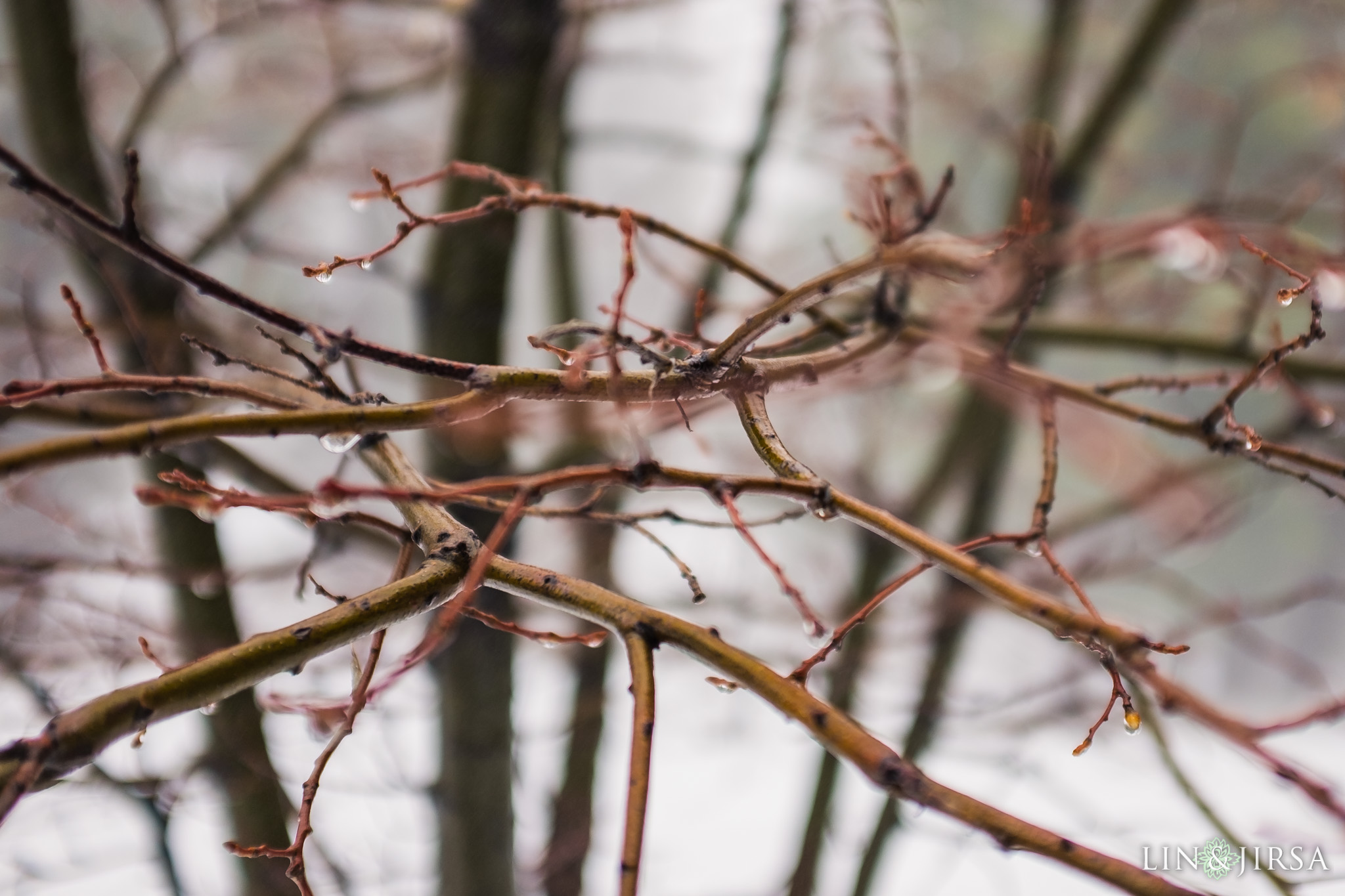 2 Green Valley Lake Snowy Winter Engagement Photography