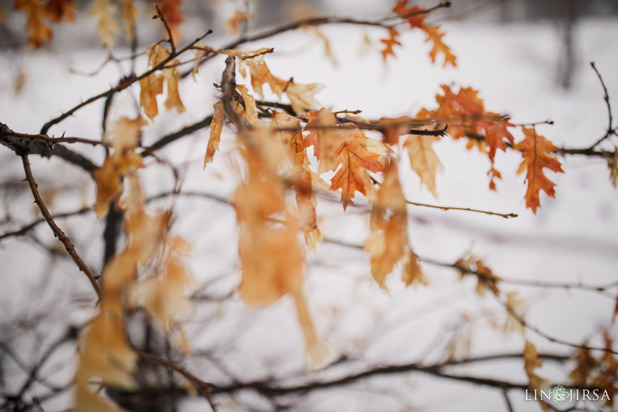 3 Green Valley Lake Snowy Winter Engagement Photography