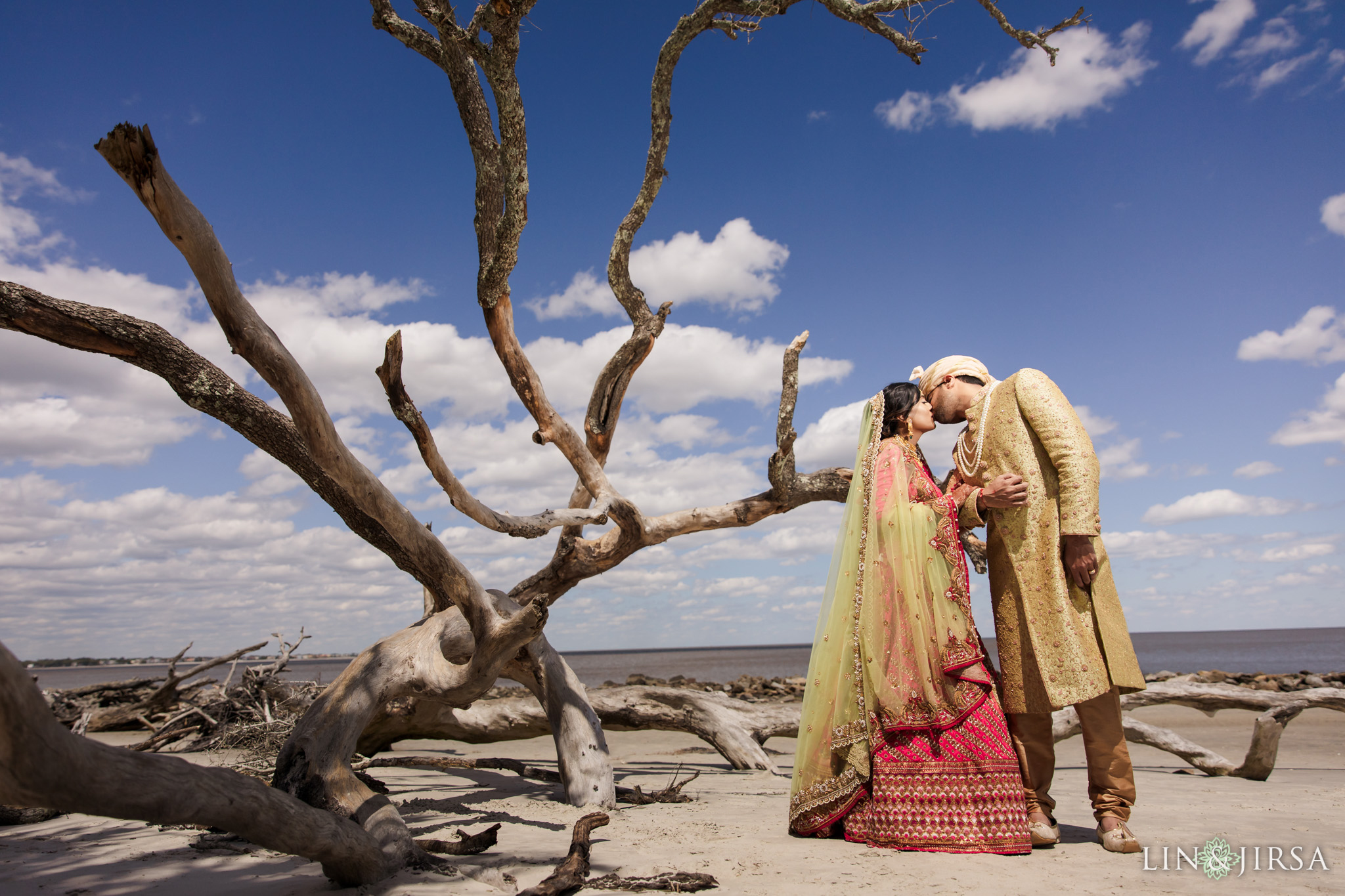 43 Driftwood Beach Jekyll Island Georgia Indian Wedding Photography