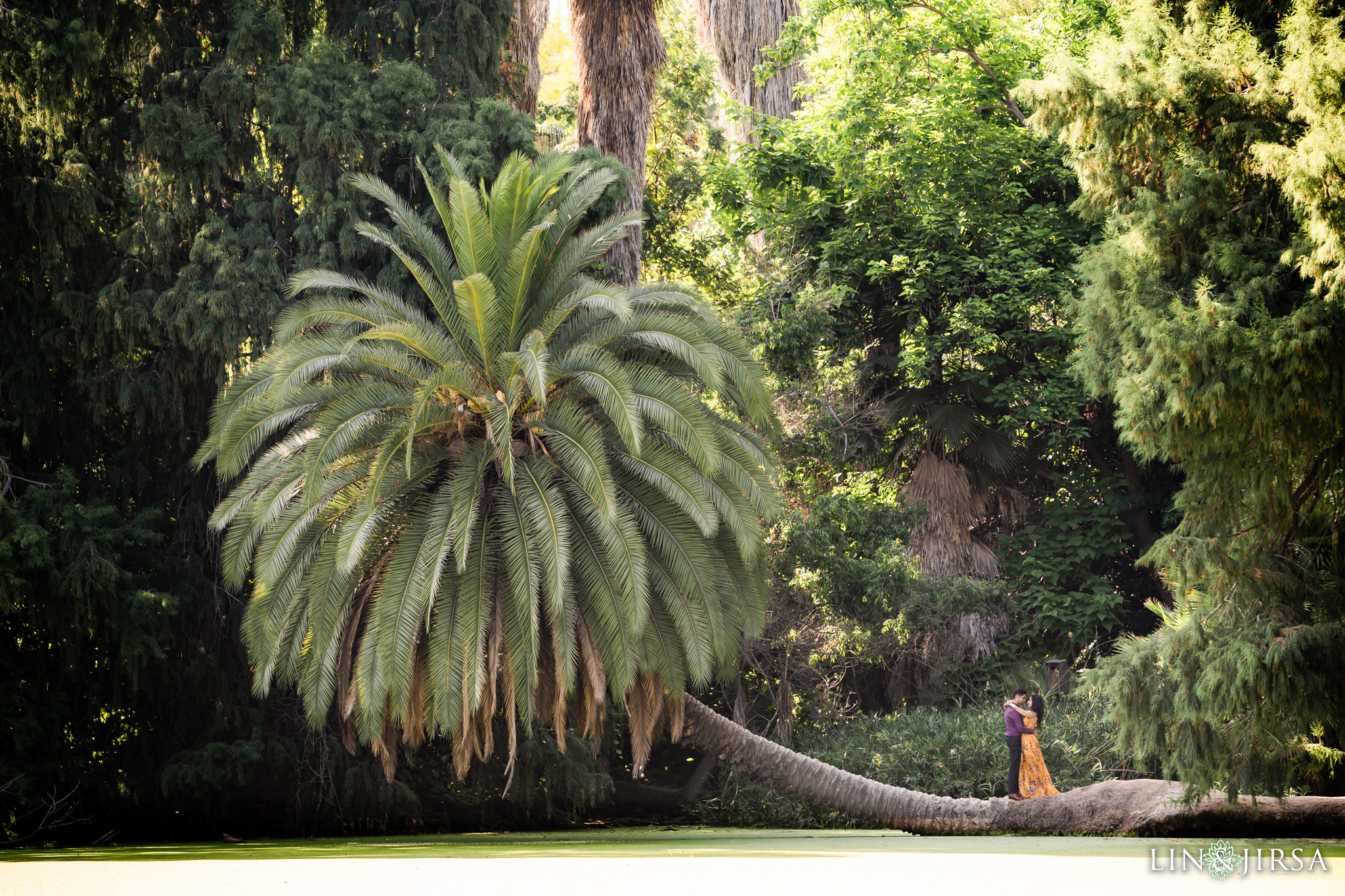 9 Los Angeles Arboretum Arcadia Engagement Photography