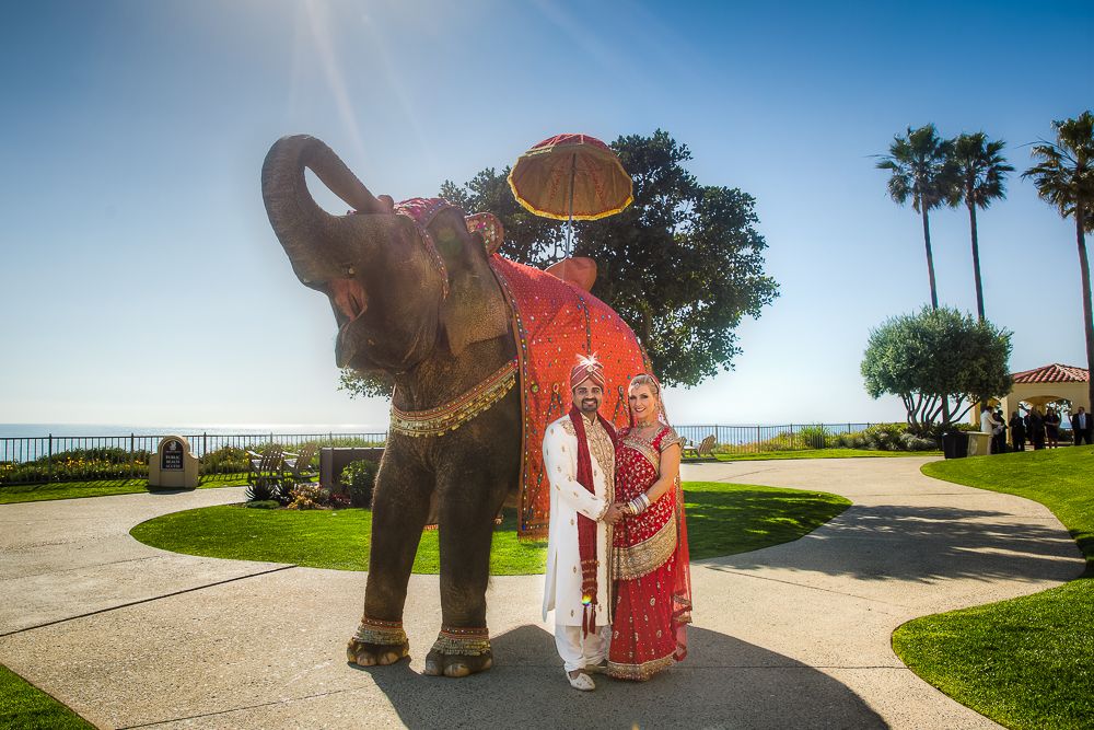 AC-Ritz-Carlton-Laguna-Beach-Wedding-Photos-0495