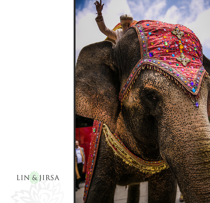 08-ritz-carlton-laguna-niguel-indian-wedding-photographer-mandap