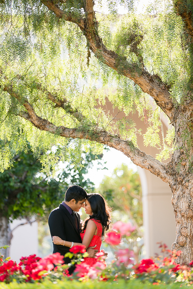 LL-mission-san-juan-engagement-photos-0015