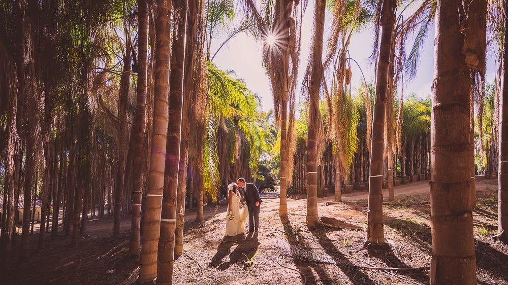 0293-RR-Chateau-Palmier-Estate-Wedding-Photos-3
