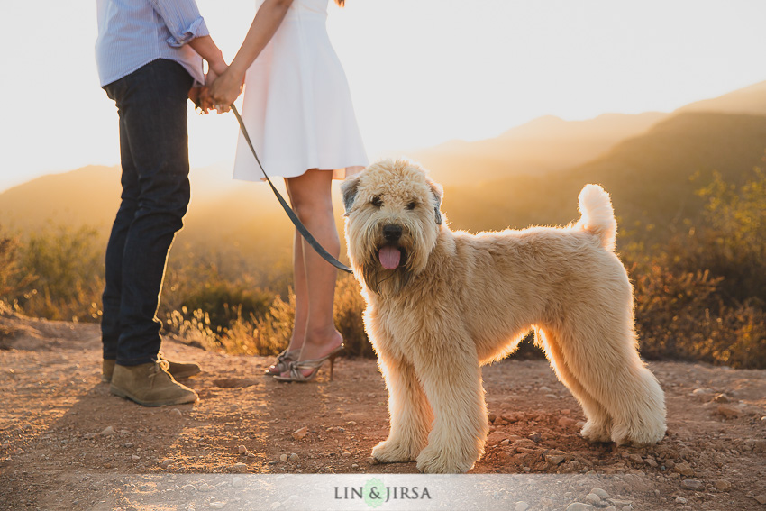 09-gorgeous-santa-monica-engagement-photos