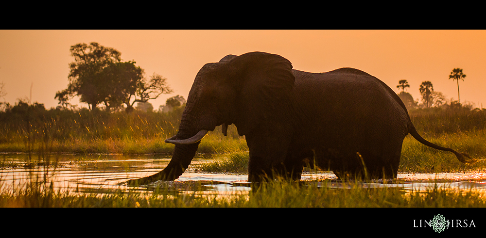 14-african-safari-photographer