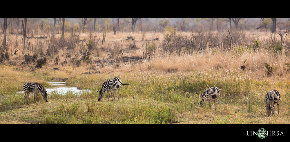 17-african-safari-photographer