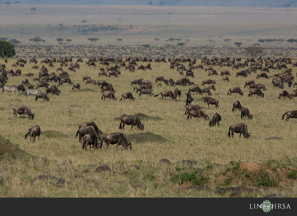 21-african-safari-photographer
