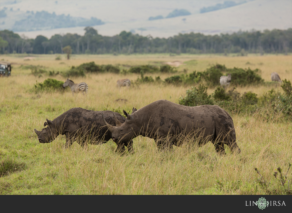 22-african-safari-photographer