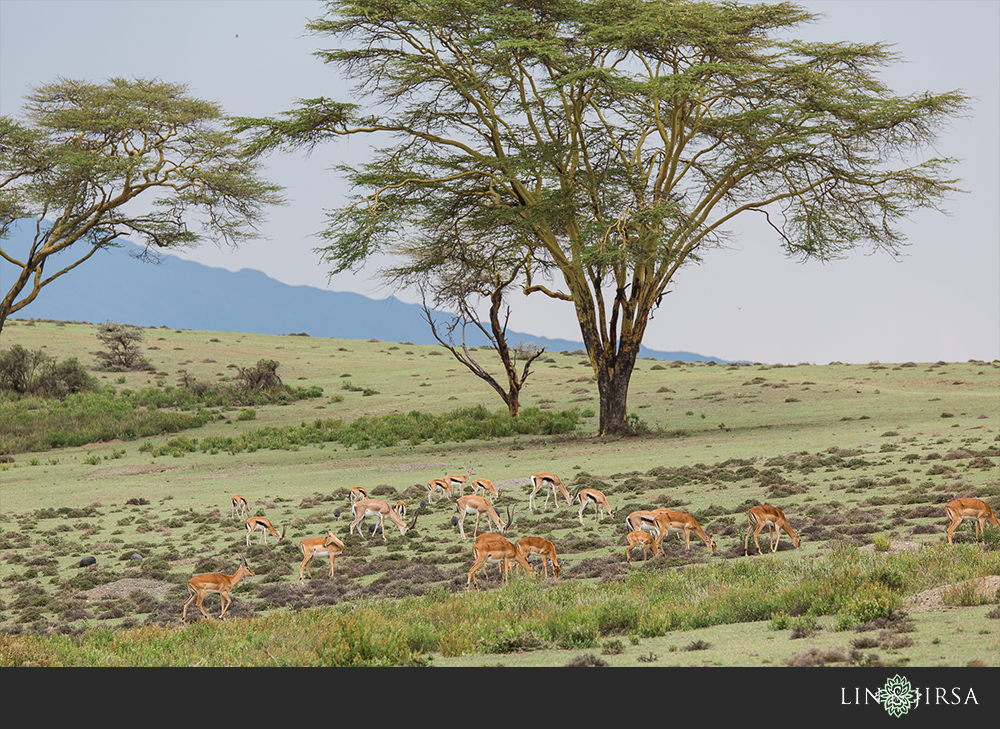 28-african-safari-photographer