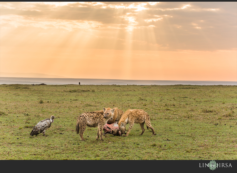 44-african-safari-photographer