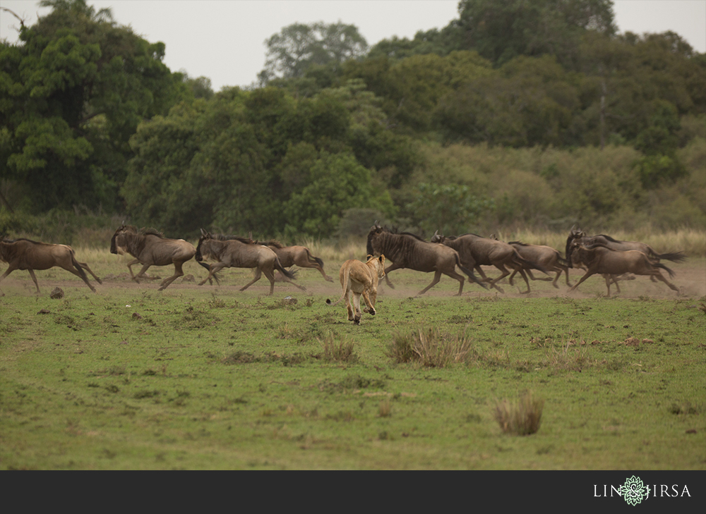 47-african-safari-photographer