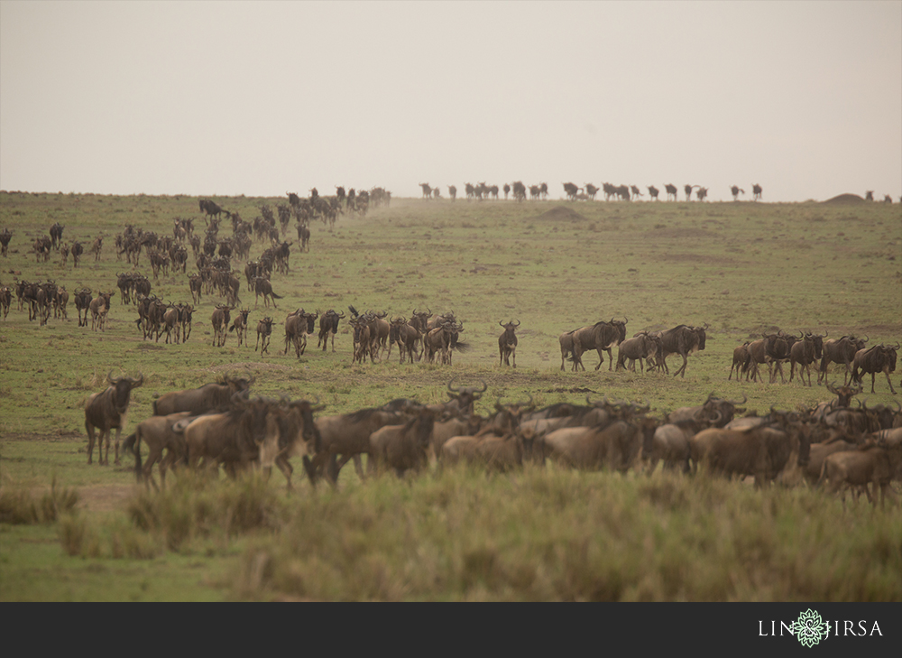 48-african-safari-photographer