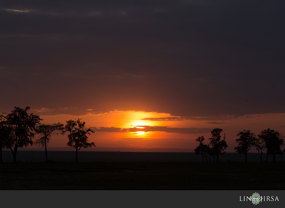 50-african-safari-photographer