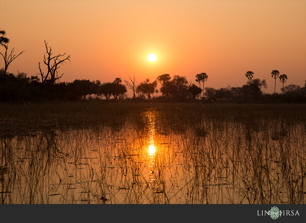 51-african-safari-photographer