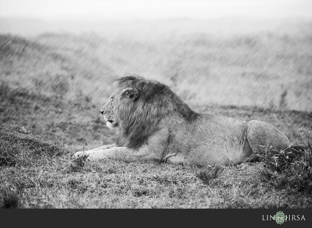 55-african-safari-photographer